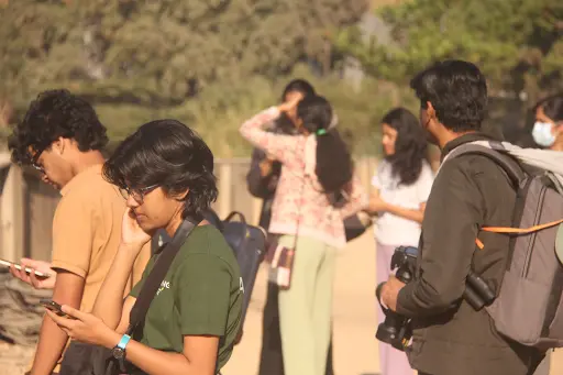 Great Backyard Bird 6